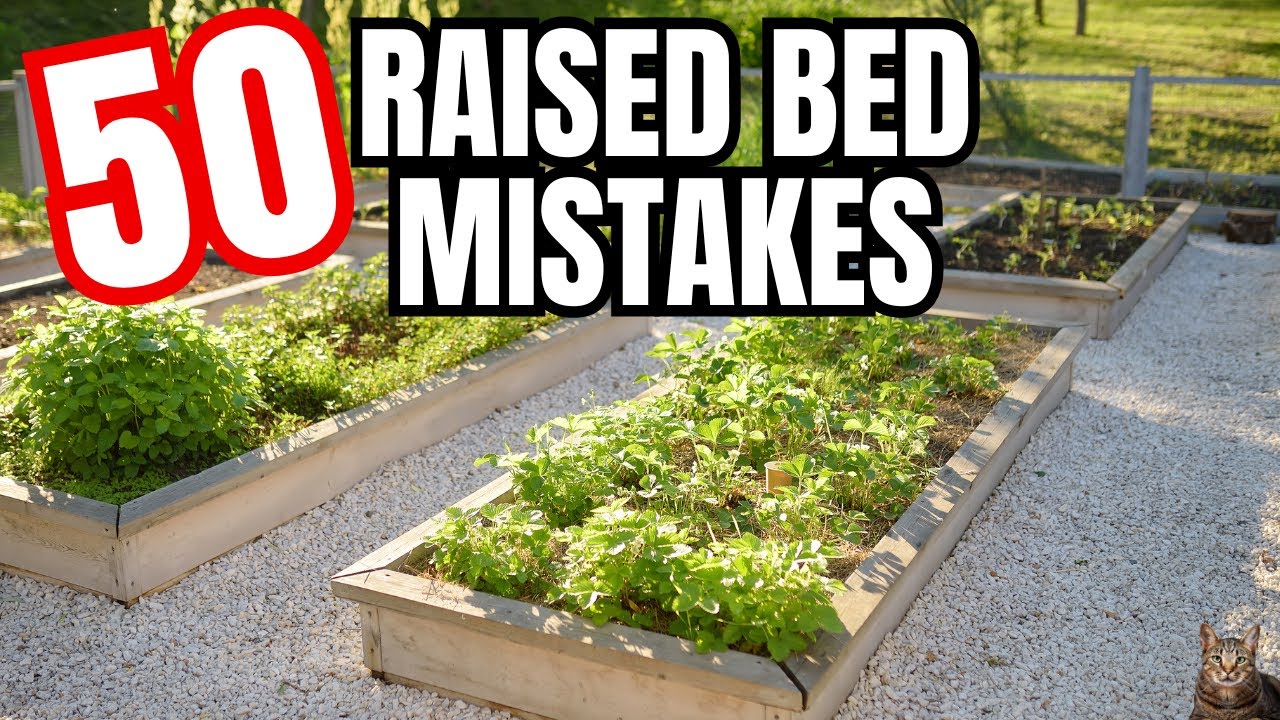 Common Planting Mistakes in Raised Beds