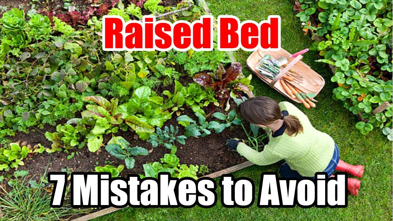 Common Planting Mistakes in Raised Beds